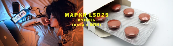 mdpv Магас