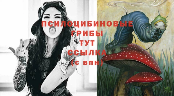 mdpv Магас