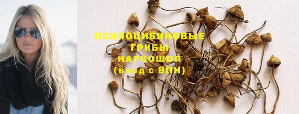 mdpv Магас